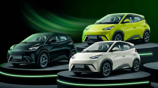 BYD Mini Dolphin